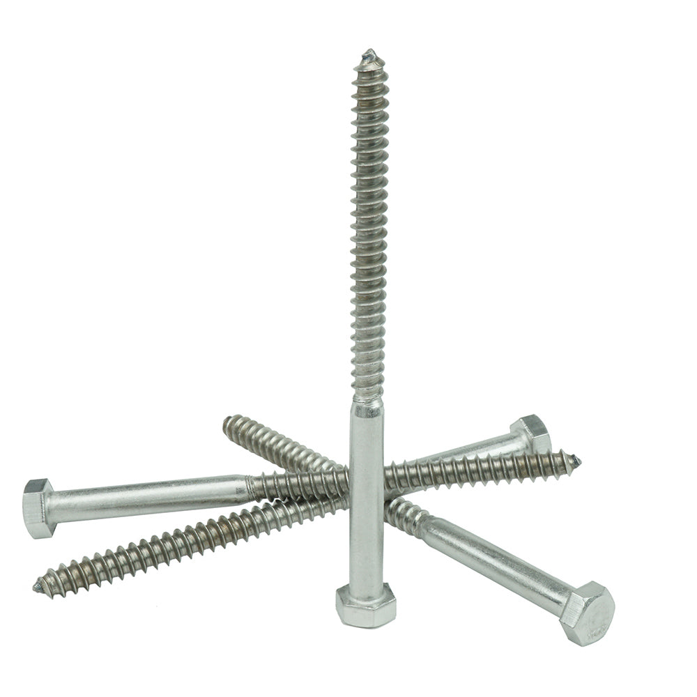 Lag screw 2025